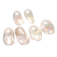 Perlas Freshwater sin Agujero, Perlas cultivadas de agua dulce, natural, Blanco, 15-20mm, Vendido por Par