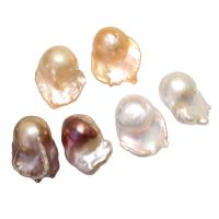 No Hole Cultured Freshwater Pearl Beads, natural 20mm 