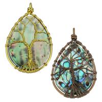 Brass Pendant, with Abalone Shell, Teardrop, plated Approx 2.5mm 