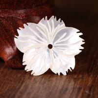Бусины из натуральных белых ракушек, Белая ракушка, Форма цветка отверстие:Приблизительно 2mm, продается PC
