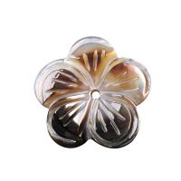La Perla de Concha Natural, Nácar, Flor, diferentes materiales para la opción, 3x20mm, agujero:aproximado 1mm, Vendido por UD