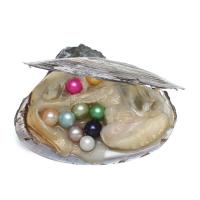 Süßwasser kultiviert Liebe Wunsch Pearl Oyster, Natürliche kultivierte Süßwasserperlen, Kartoffel, Perlmutt, gemischte Farben, 7-8mm, verkauft von PC
