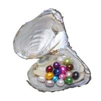 Süßwasser kultiviert Liebe Wunsch Pearl Oyster, Natürliche kultivierte Süßwasserperlen, Reis, Perlmutt, gemischte Farben, 7-8mm, verkauft von PC