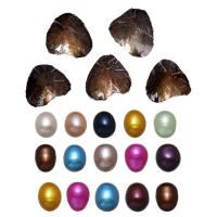 Freshwater Cultured Love Wish Pearl Oyster, Freshwater Pearl, Rice, mother of Pearl, mixed colors, 7-8mm 