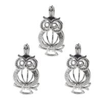 Brass Floating Locket Pendant, Owl, platinum color plated, for 6mm beads & It could be opened and beads could be put inside. & hollow, nickel, lead & cadmium free Approx 2-3mm 