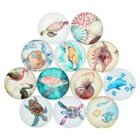 Time Gem Cabochon, Glass, Flat Round, time gem jewelry & mixed pattern & flat back & decal 