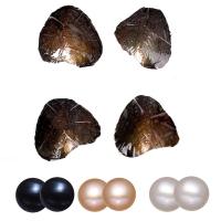 Freshwater Cultured Love Wish Pearl Oyster, Freshwater Pearl, Potato, mother of Pearl & Twins Wish Pearl Oyster 7-8mm 