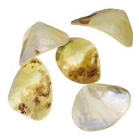 Abalone Shell Cabochon, 27-32x21-23x6-13mm 