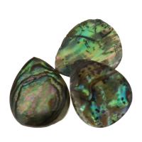 Abalone Shell Pendants, epoxy gel & double-sided Approx 1mm 