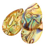 Australien Abalone Shell Cabochon, Tropfen, Epoxy Aufkleber, 17x26x1.5mm, verkauft von PC