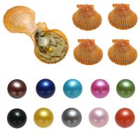 Akoya Cultured Pearls Wish Pearl Oyster, Potato, mixed colors, 7-8mm 