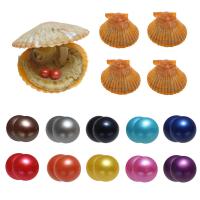 Akoya Cultured Pearls Wish Pearl Oyster, Potato, Twins Wish Pearl Oyster, mixed colors, 7-8mm 