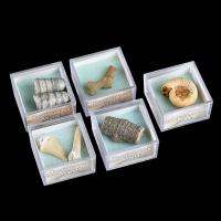 Synthetic Gemstone Boxed Decoration Gemstone, with Plastic Box, natural 