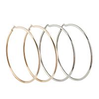 Mode Eisen Prise Kreis Ohrringe, plattiert, unisex, keine, frei von Blei & Kadmium, 120x5mm, verkauft von Paar