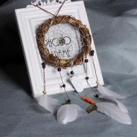 Feather Dream Catcher, with Cotton Thread & Velveteen & Rattan & Wood, with LED light, white 