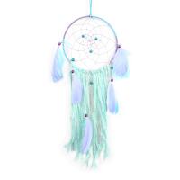 Fashion Dream Catcher, Feather, with Cotton Thread & Lace & Wood & Iron 