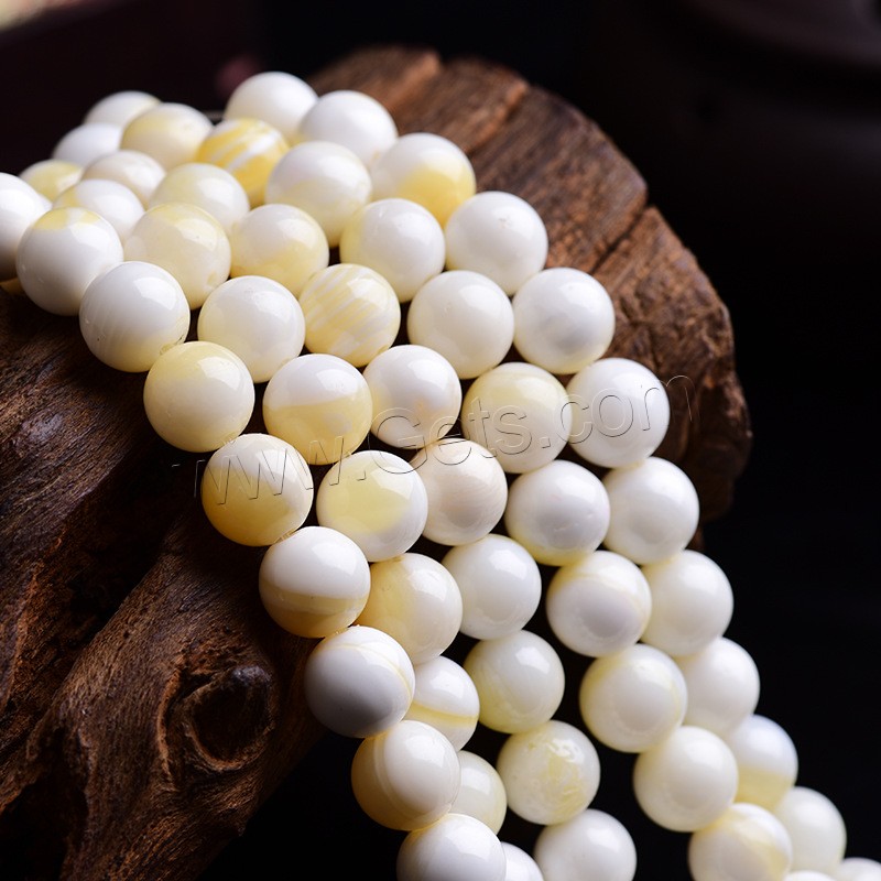 Perles de coquillage jaune naturel, coquille jaune, normes différentes pour le choix, protéger l'environnement, sans nickel, plomb et cadmium, Longueur:Environ 15 pouce, Vendu par brin