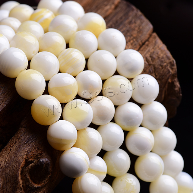 Perles de coquillage jaune naturel, coquille jaune, normes différentes pour le choix, protéger l'environnement, sans nickel, plomb et cadmium, Longueur:Environ 15 pouce, Vendu par brin