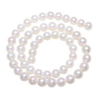 Round Cultured Freshwater Pearl Beads, natural, white, Grade AA, 7-8mm Approx 0.8mm Approx 15 Inch 
