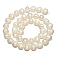 Bouton de culture des perles d'eau douce, perle d'eau douce cultivée, naturel, blanc, 9-10mm Environ 0.8mm Environ 14.5 pouce, Vendu par brin
