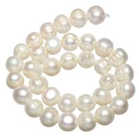 Round Cultured Freshwater Pearl Beads, natural, white, 11-13mm Approx 0.8mm Approx 15 Inch 
