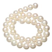 Round Cultured Freshwater Pearl Beads, natural, white, 11-12mm Approx 0.8mm Approx 15.7 Inch 