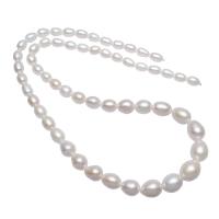 Rice Cultured Freshwater Pearl Beads, natural, white, 4-10mm Approx 0.8mm Approx 15.5 Inch 