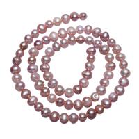 Perlas Patata Freshwater, Perlas cultivadas de agua dulce, natural, Púrpura, 5-6mm, agujero:aproximado 0.8mm, longitud:aproximado 15.5 Inch, Vendido por Sarta