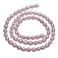 Rice Cultured Freshwater Pearl Beads, natural, purple, 4-5mm,10*7cm Approx 0.8mm Approx 15.3 Inch 