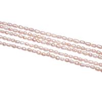Rice Cultured Freshwater Pearl Beads, natural, pink, 3-4mm Approx 0.8mm Approx 15 Inch 