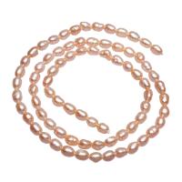 Rice Cultured Freshwater Pearl Beads, natural, pink, 3-4mm Approx 0.8mm Approx 15.3 Inch 