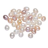 Perlas Patata Freshwater, Perlas cultivadas de agua dulce, natural, color mixto, 6.5-7mm, agujero:aproximado 0.8mm, Vendido por KG