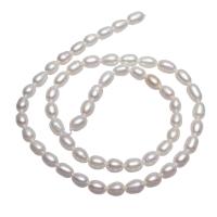 Rice Cultured Freshwater Pearl Beads, natural, white, 5-6mm Approx 0.8mm Approx 15 Inch 