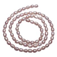 Rice Cultured Freshwater Pearl Beads, natural, purple, 3-4mm Approx 0.8mm Approx 15.3 Inch 