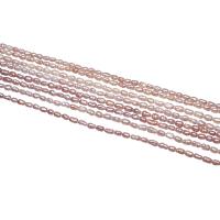 Rice Cultured Freshwater Pearl Beads, natural, mixed colors, 2-2.5mm Approx 0.8mm Approx 15.5 Inch 