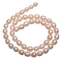 Potato Cultured Freshwater Pearl Beads, natural, pink, 6-7mm Approx 0.8mm Approx 15.5 Inch 
