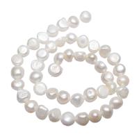 Potato Cultured Freshwater Pearl Beads, natural, white, 8-9mm Approx 0.8mm Approx 14.5 Inch 