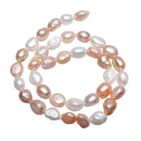 Rice Cultured Freshwater Pearl Beads, natural, mixed colors, 8-9mm Approx 0.8mm Approx 14.7 Inch 