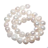 Baroque Cultured Freshwater Pearl Beads, natural, white, 11-12mm Approx 0.8mm Approx 14.5 Inch 