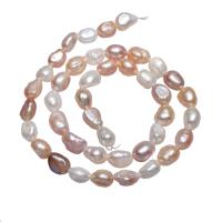 Perles nacres baroques de culture d'eau douce , perle d'eau douce cultivée, naturel, couleurs mélangées, 7-8mm Environ 0.8mm Environ 15.5 pouce, Vendu par brin