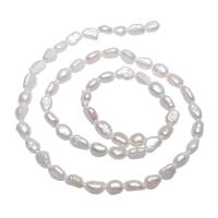 Perles d'eau douce de culture de riz, perle d'eau douce cultivée, naturel, blanc, 4-5mm Environ 0.8mm Environ 14.5 pouce, Vendu par brin