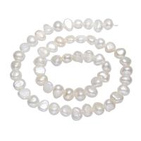 Potato Cultured Freshwater Pearl Beads, natural, white, 7-8mm Approx 0.8mm Approx 14 Inch 