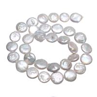 Coin Cultured Freshwater Pearl Beads, Flat Round, natural, white, 11-12mm Approx 0.8mm Approx 15.3 Inch 