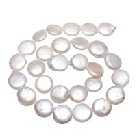Coin Cultured Freshwater Pearl Beads, Flat Round, natural, white, 13-14mm Approx 0.8mm Approx 14.5 Inch 