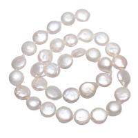 Pièce de culture des perles d'eau douce, perle d'eau douce cultivée, Plat rond, naturel, blanc, 10-11mm Environ 0.8mm Environ 15.3 pouce, Vendu par brin
