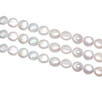 Coin Cultured Freshwater Pearl Beads, Flat Round, natural, white, 11-12mm Approx 0.8mm Approx 15.7 Inch 