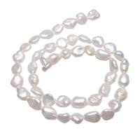 Perles nacres baroques de culture d'eau douce , perle d'eau douce cultivée, pepite, naturel, blanc, 7-8mm Environ 0.8mm Environ 15.3 pouce, Vendu par brin