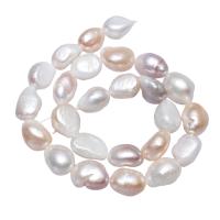 Perles nacres baroques de culture d'eau douce , perle d'eau douce cultivée, pepite, naturel, couleurs mélangées, 12-13mm Environ 0.8mm Environ 15.5 pouce, Vendu par brin