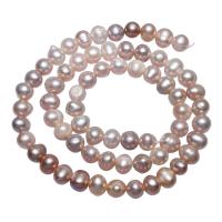 Perlas Patata Freshwater, Perlas cultivadas de agua dulce, natural, Púrpura, 6-7mm, agujero:aproximado 0.8mm, longitud:aproximado 15 Inch, Vendido por Sarta