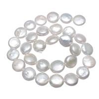 Coin Cultured Freshwater Pearl Beads, Flat Round, natural, white, 12-14mm Approx 0.8mm Approx 16.1 Inch 